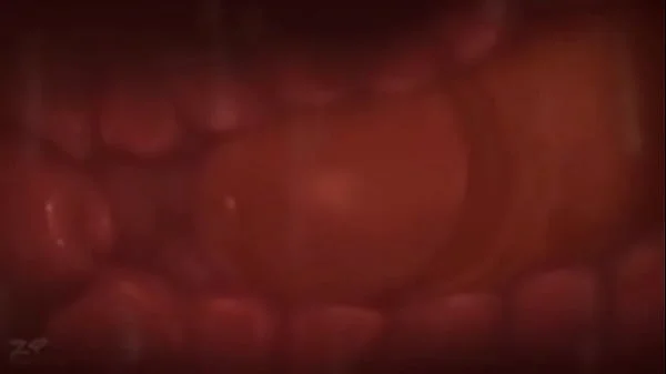 Pokemon porn