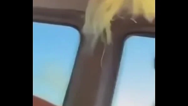 Teanna Trump Fucks on Tour Bus